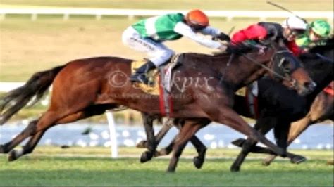 atthe races results